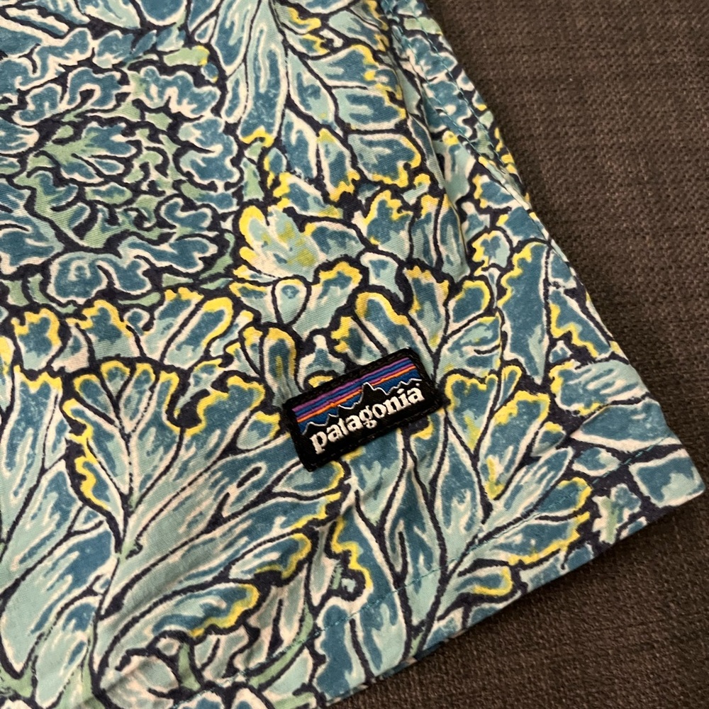 Patagonia shorts